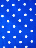 Sky Blue White Poka Dot